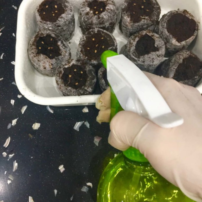 дезинфенкция тары