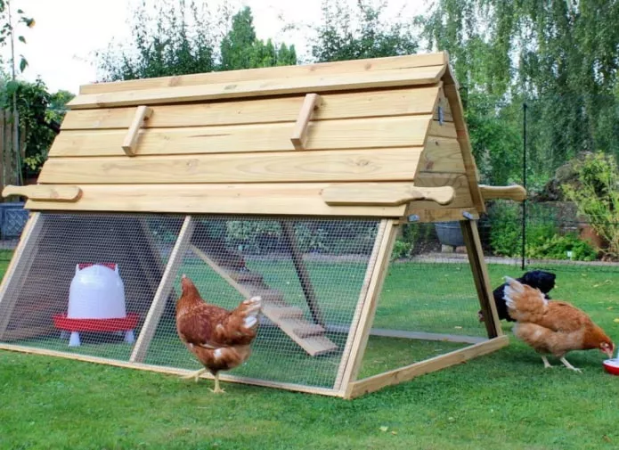 треугольный курятник треугольный курятник