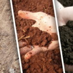 7 самых популярных типов почв и их особенности, которые должен знать каждый садовод