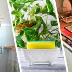 Как хранить губку для мытья посуды?
