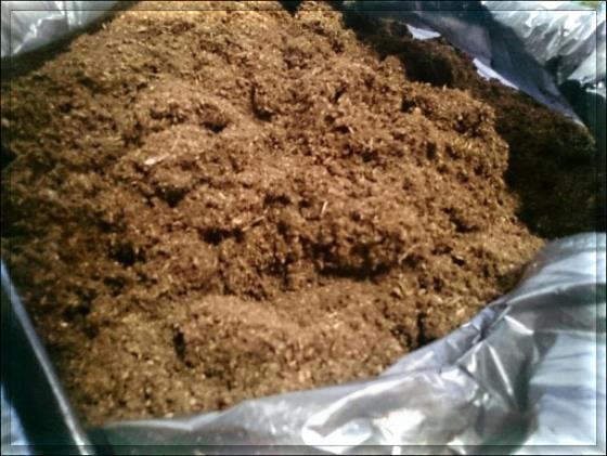 Домашний огород на подоконнике с зеленью и овощными культурами — иллюстрация 2