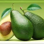 Свой лес из семян. Уход за молодыми растениями