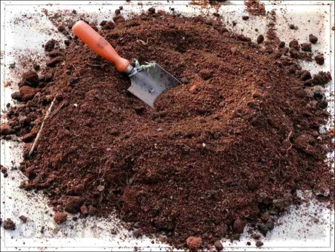 ТОП 12 улучшителей грунта – ключевые моменты